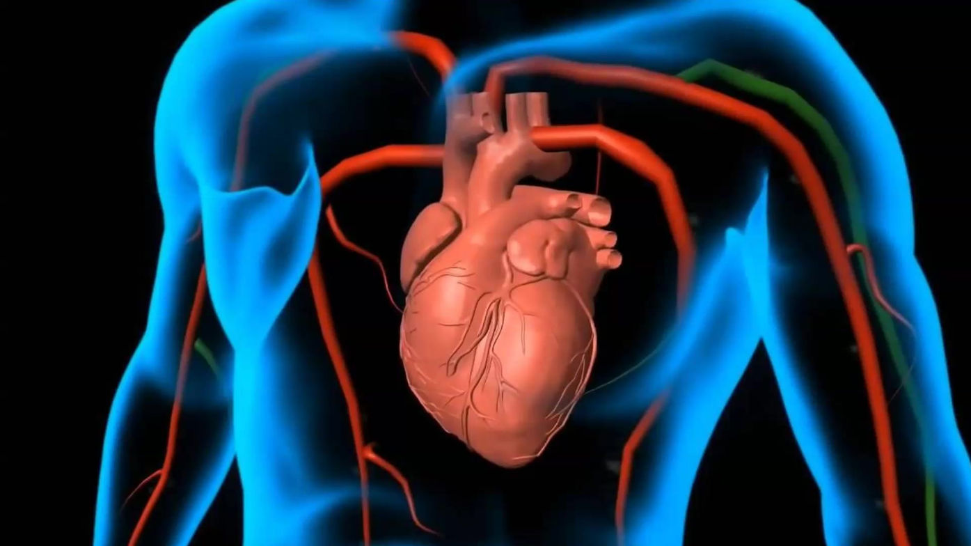 KAJ NAM STRES POVZROČA